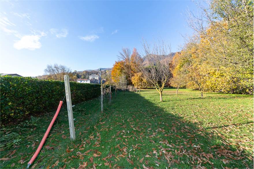 Photo 43